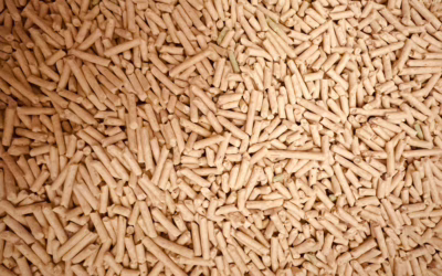 Pellet jako ekologiczne paliwo przyszłości – dlaczego warto?